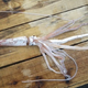 Illustration for article titled These Are the First Baby Giant Squid Ever Discovered